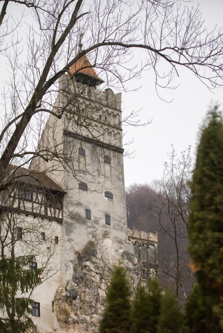 0336v Bran Nunta la Bran Galerie