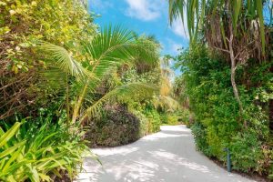 Wedding ceremony in nature - Thailand (1) - Weddo Agency