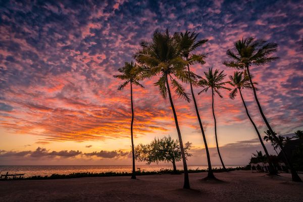 Why choose a destination wedding in Zanzibar - Weddo Agency