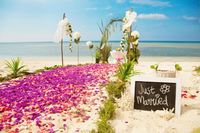Weddo Agency - 1.4. Beach Wedding Wedding Decorations 4