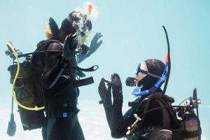 Beach wedding proposal - Ideas for your inspiration - Underwater - weddo.agency