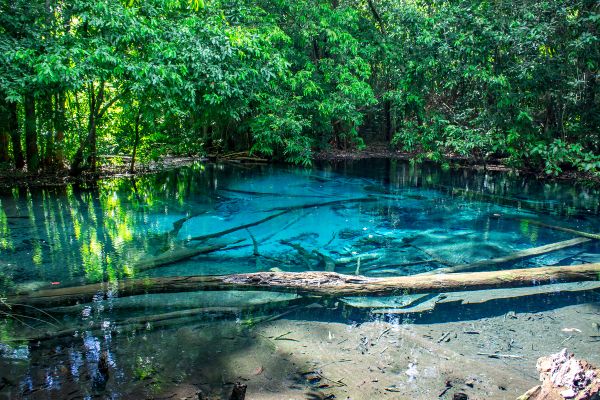 Zanzibar destination wedding - Weddo Agency