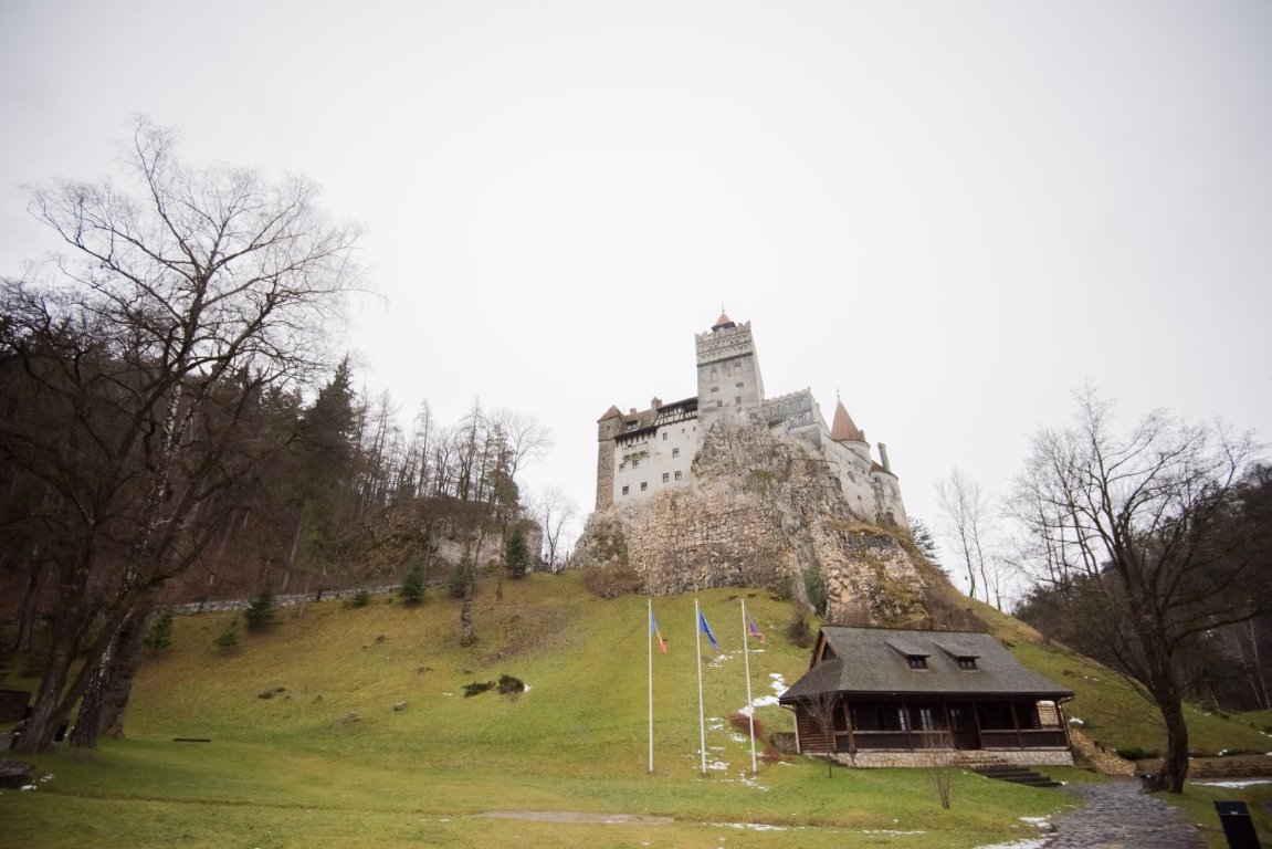 6. Mocha mousse wedding - Bran Castle, trees 6. Mocha mousse wedding - Bran Castle, trees
