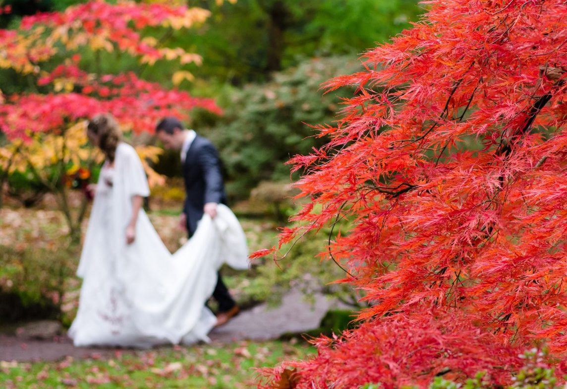 Cover Photo Autumn wedding A truly unique experience